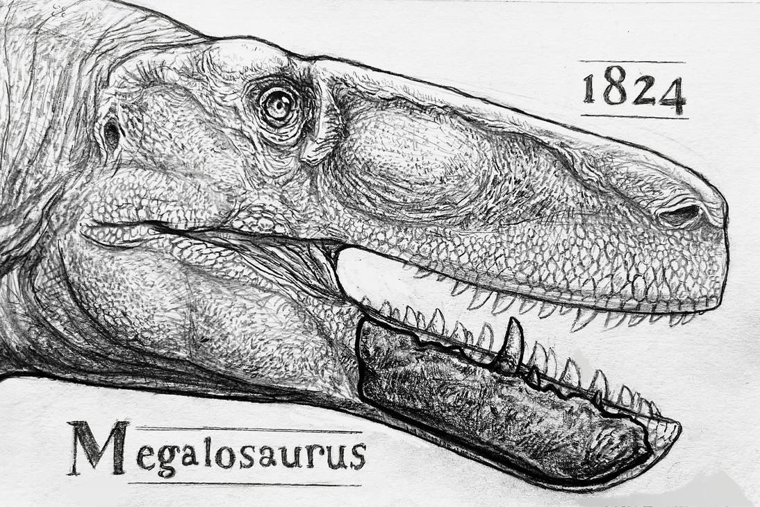 Megalosaurus By Everett1107 On DeviantArt megalosaurus-by-everett1107-on-deviantart