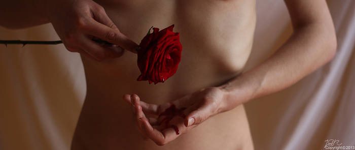 Her rose.