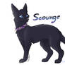 Scourge