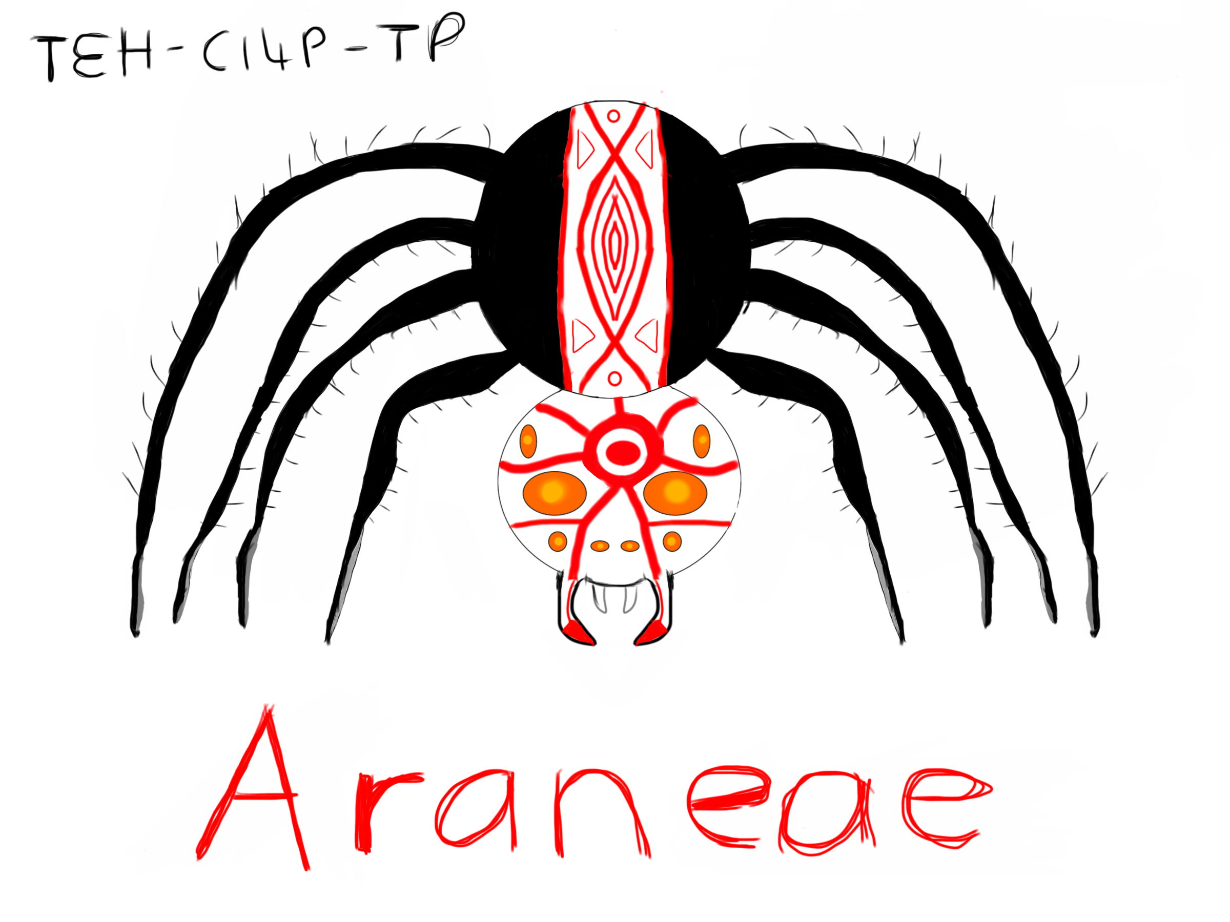 Araneae