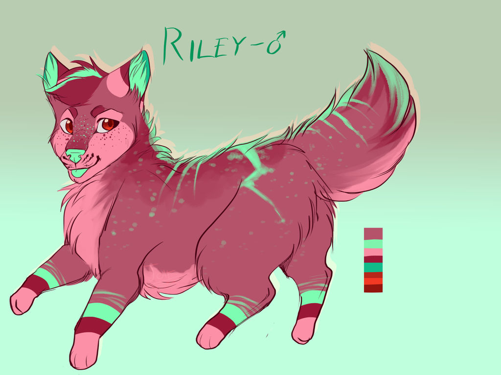 riley ref by JoItiks on DeviantArt