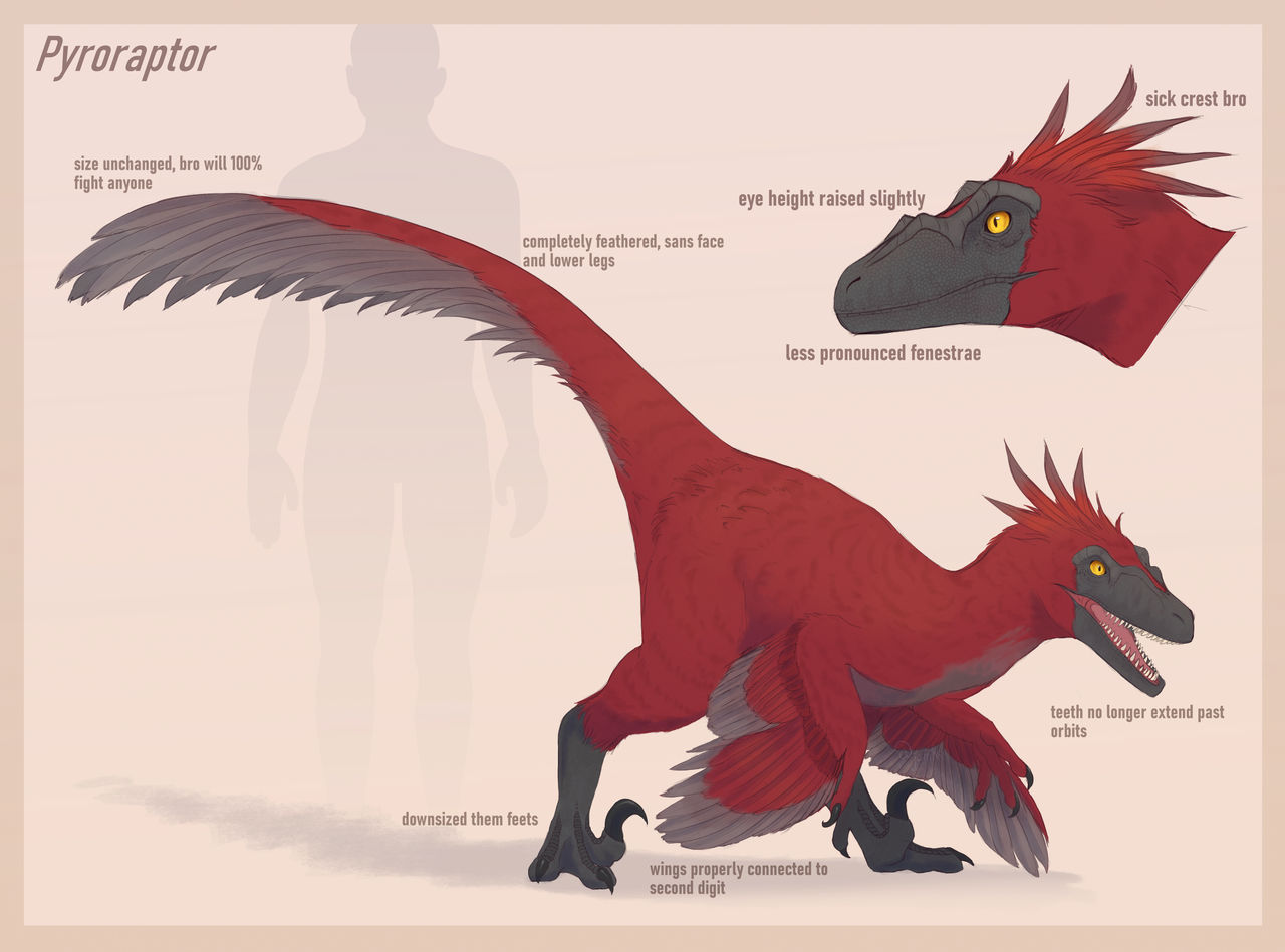 Pyro Raptor Size Pyroraptor Redux by JoItiks on DeviantArt
