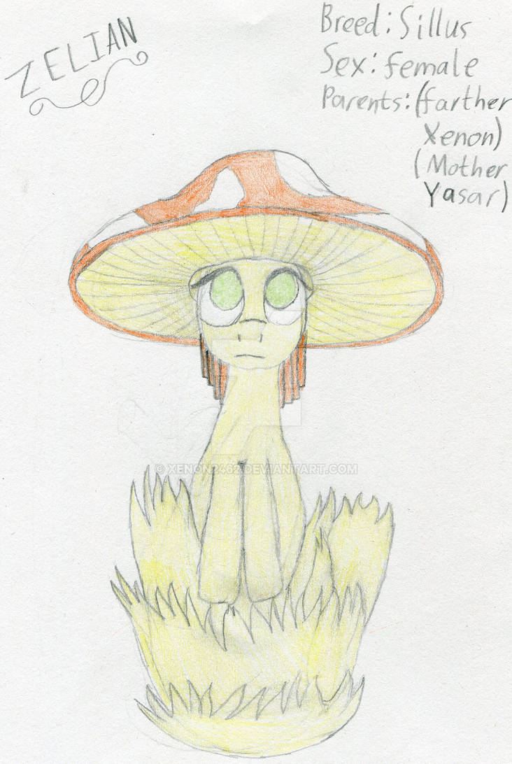 Zelian by Xenon2462 on DeviantArt
