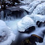 Galena Creek Nevada Winter Scene