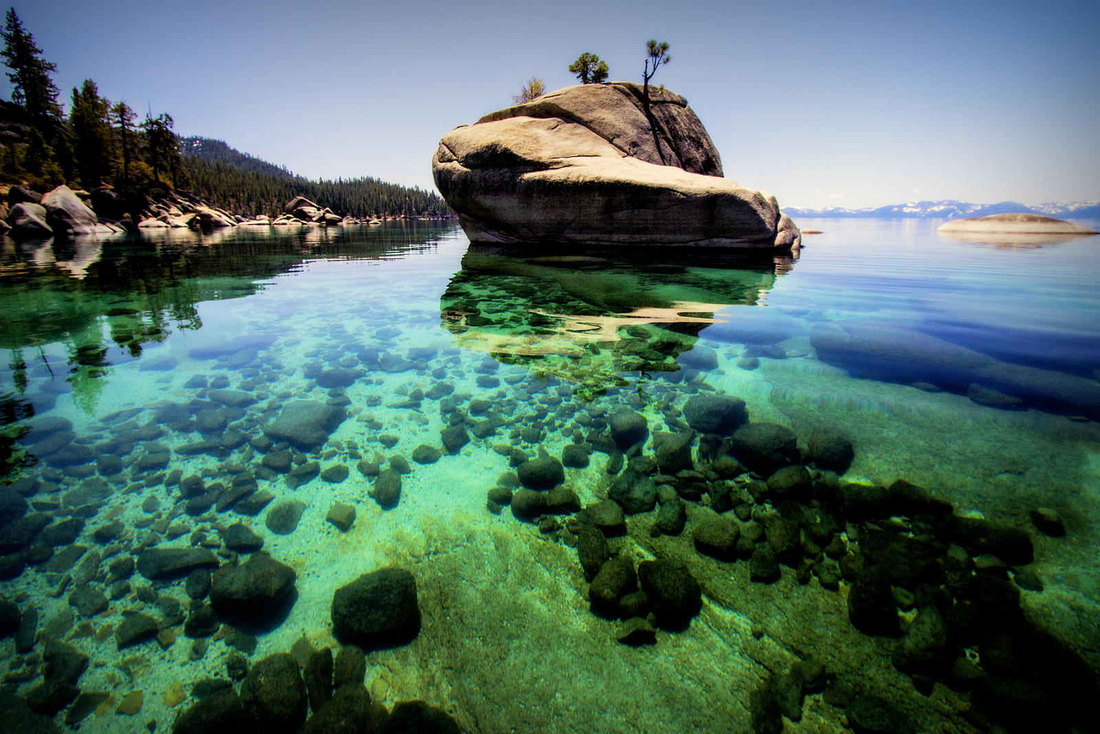 Bonsai Rock at Tahoe
