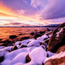 Tahoe Winter Shoreline