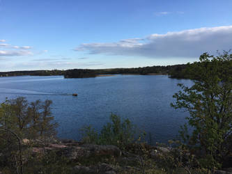 Summer/Spring in Sweden