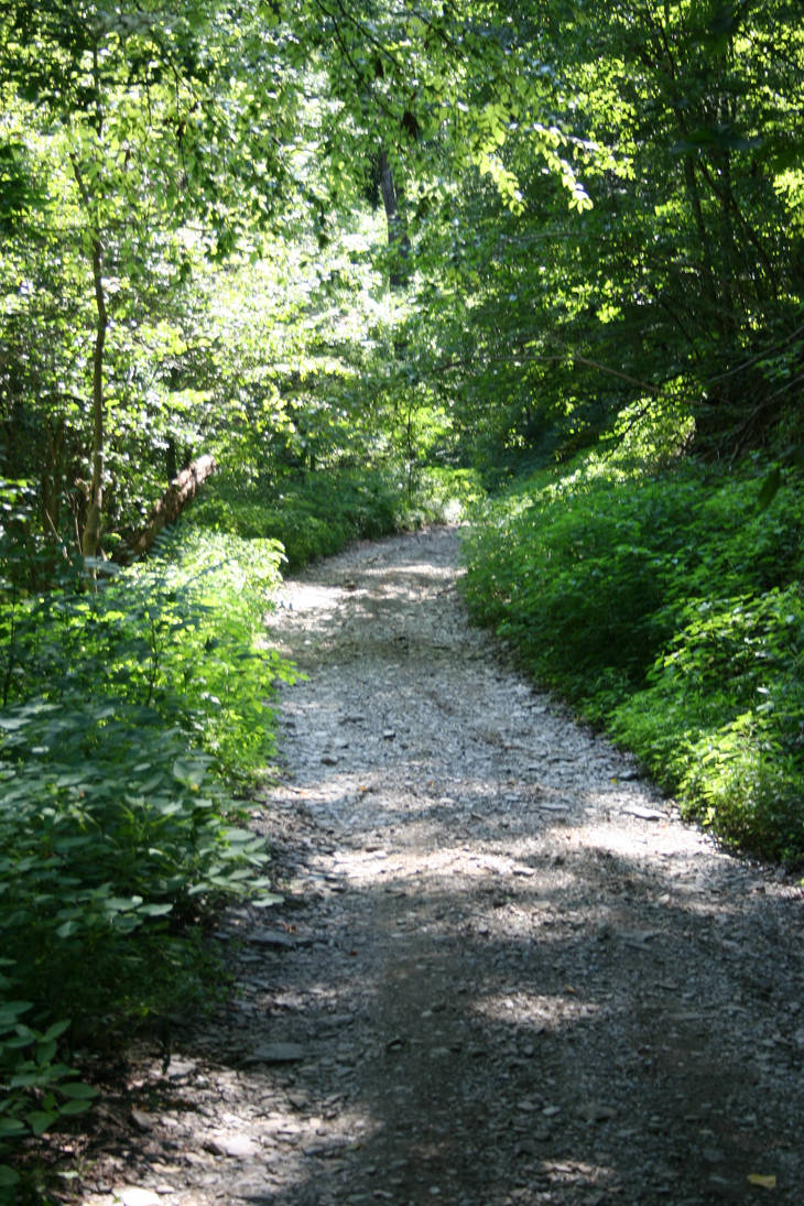 path not taken by JoeyOinPA on DeviantArt