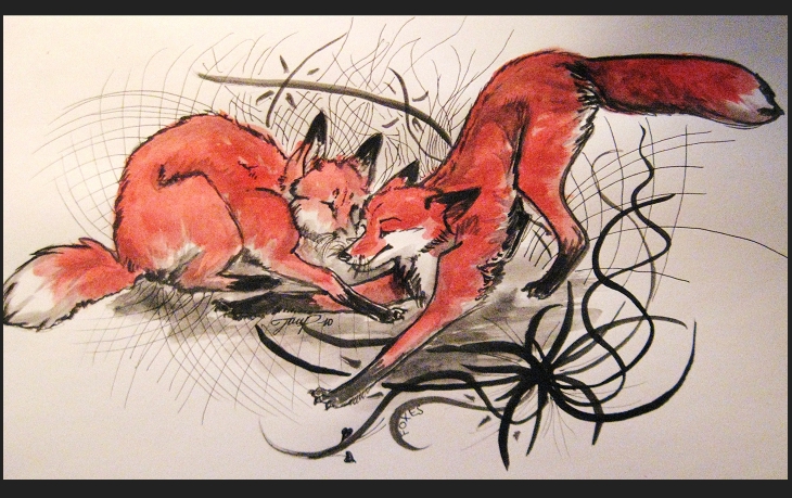 Foxes