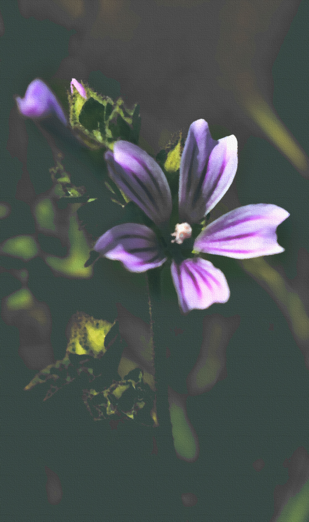 Hazy Flower