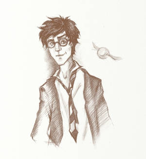 James Potter aka Prongs