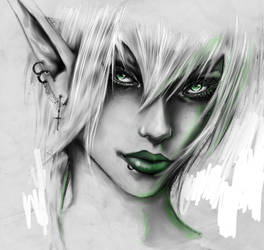 Dark Elf Coloured