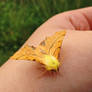 Canary Shouldered Thorn - Ennomos alniaria