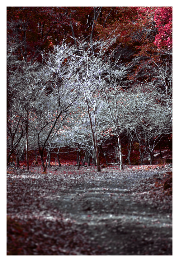 white in red