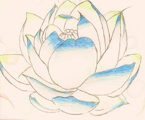 Lotus(draft)