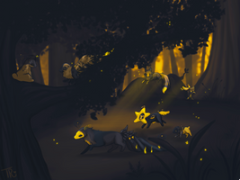 twwm | chasing fireflies