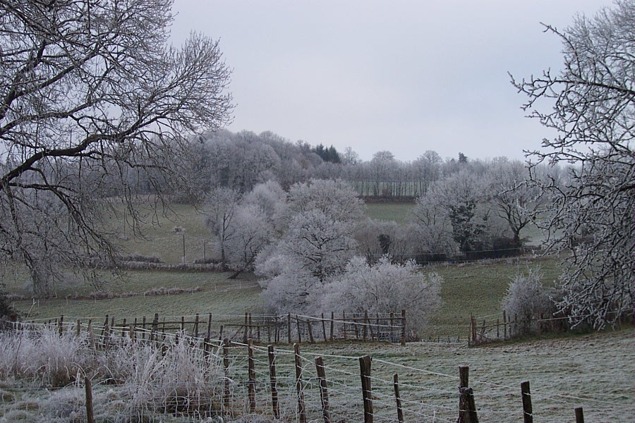 Frosty Christmas Morning