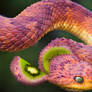 -- Kiwi snake --