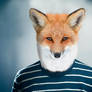 -- Fox guy --