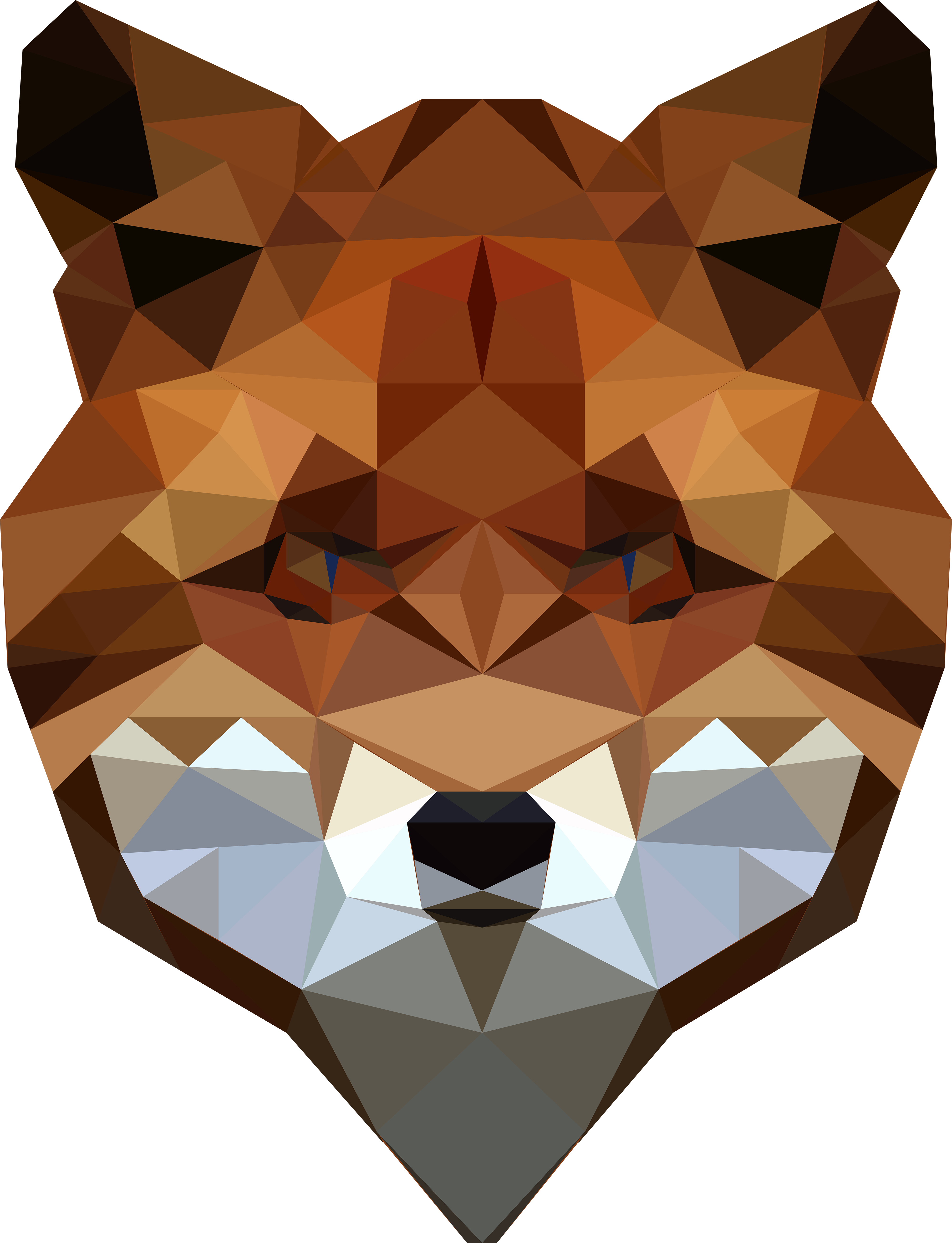 -- Fox --