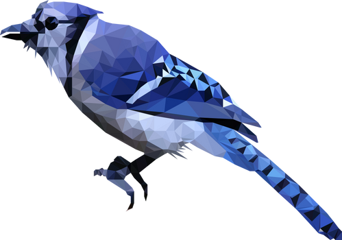 -- Blue bird --