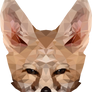 -- Kit fox --