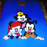 Animaniacs Cornhole