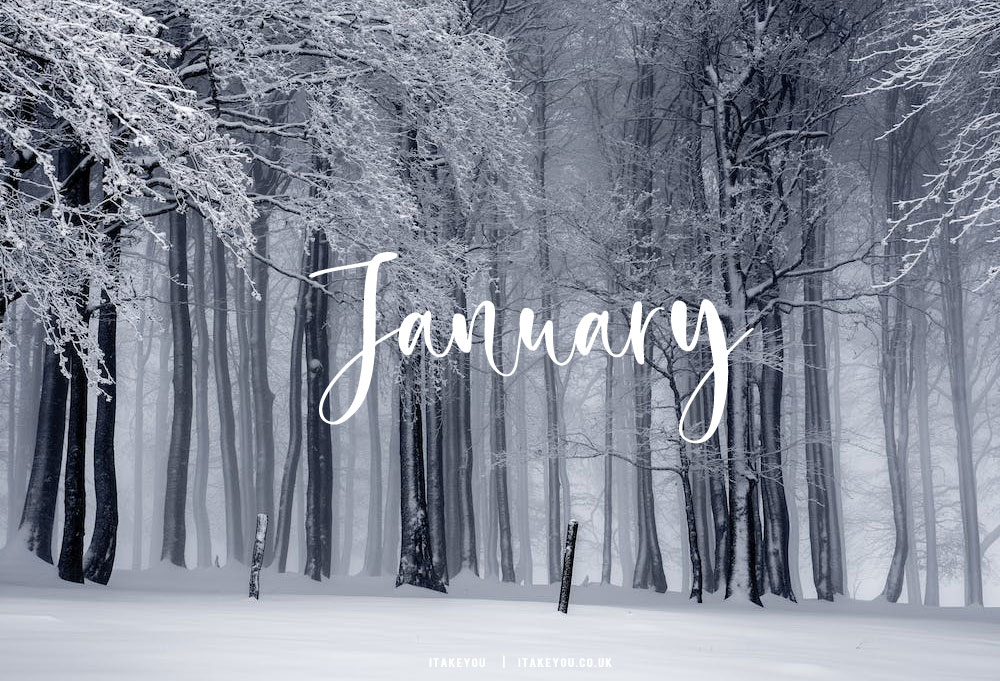 January by vale1234567891 on DeviantArt January by vale1234567891 on DeviantArt