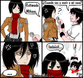 Estimada Mikasa