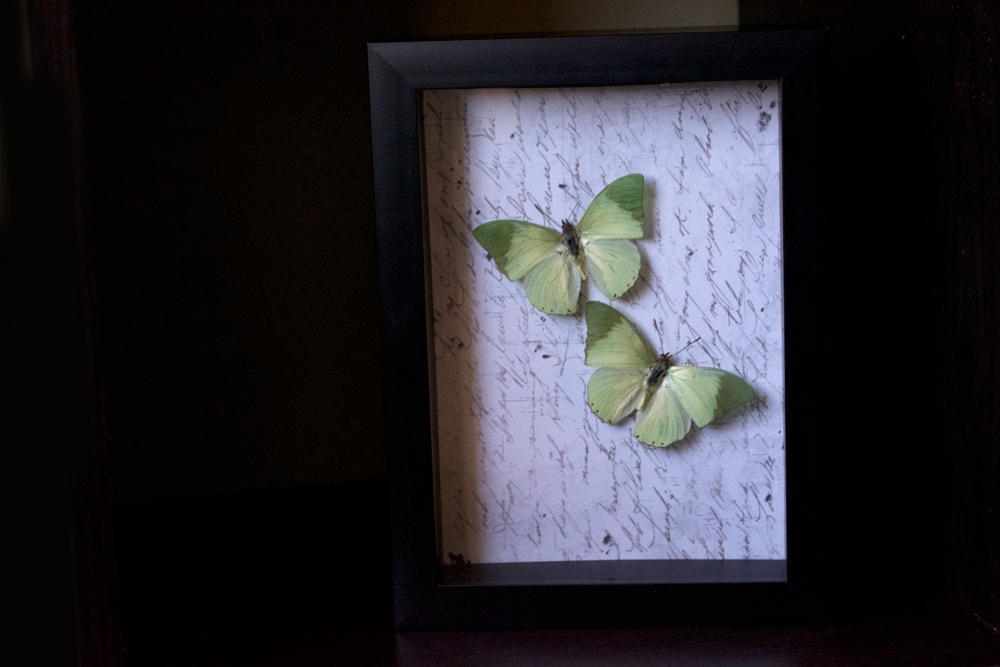 Ornate Green by TheButterflyBabe Ornate Green by TheButterflyBabe