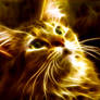 Fire Cat
