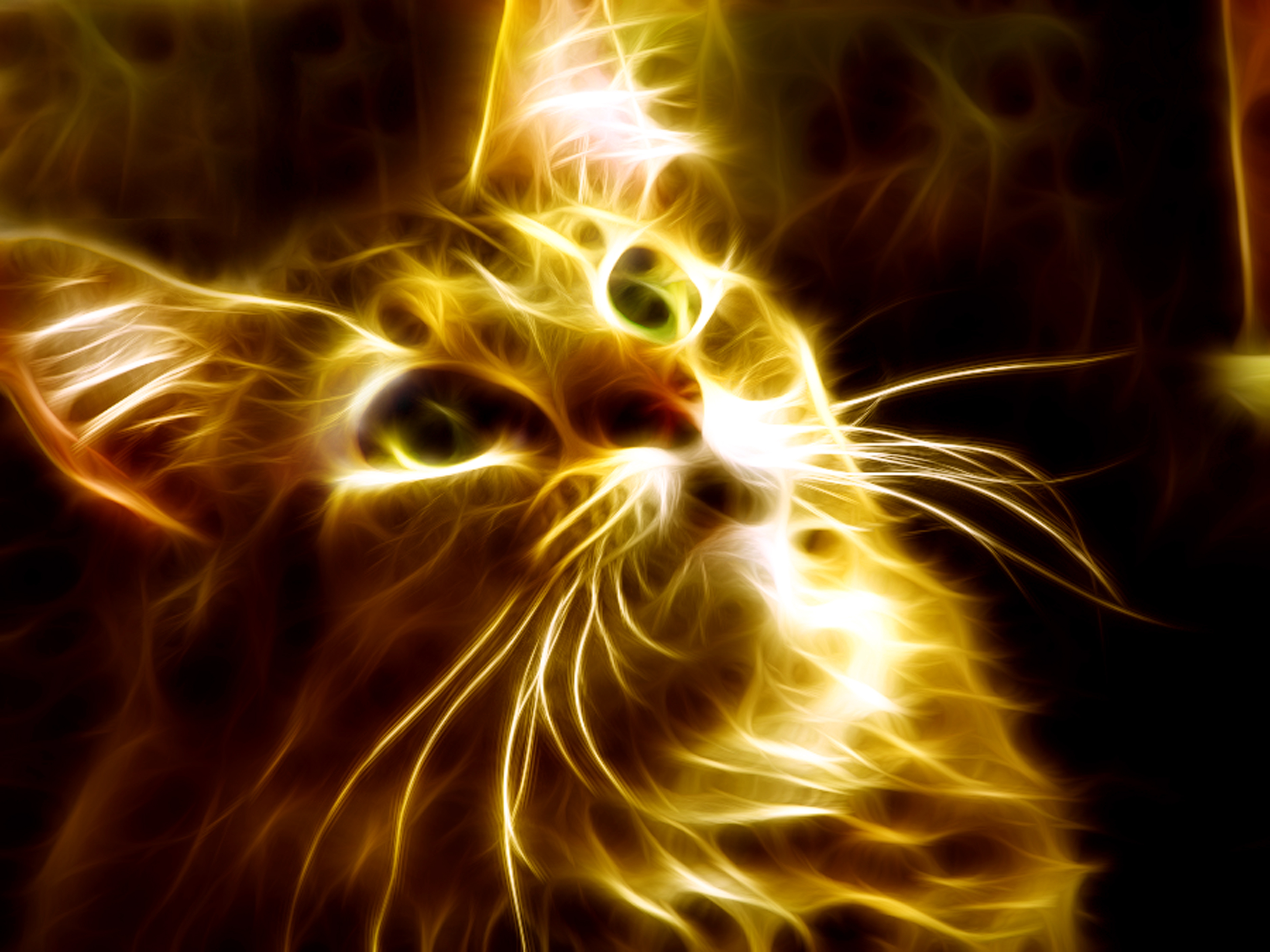 Fire Cat