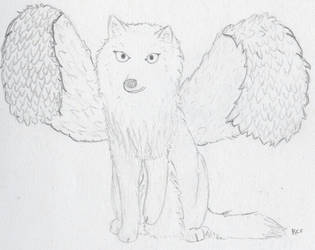 Wolf Drawing Five