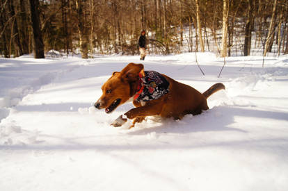 More snow running :)