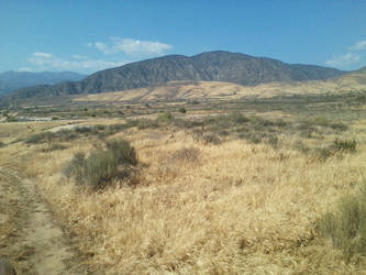 Grassy Hills