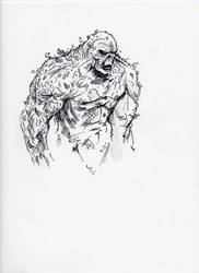 Swamp Thing