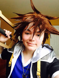 Sora WIP