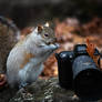 The fluffy photographer.......