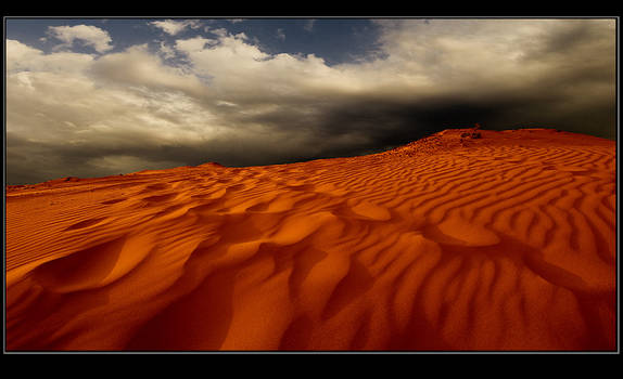 DUNE..........................