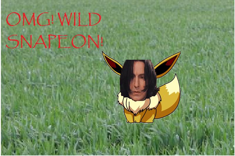 Wild Snape Appears