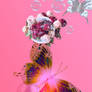 The pink Pearl-bearing butterfly of India/ wedding