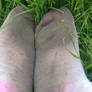 Muddy Socks 5