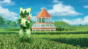 The Evolution Of My Fav Starter From Generation 9