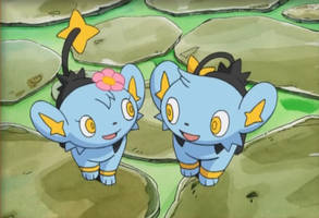 Shinx Is Glad His Sister Is Okay