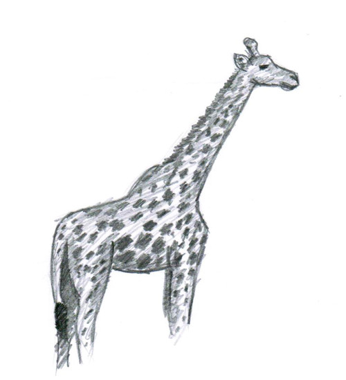 giraffe