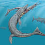 Dakosaurus and Cricosaurus