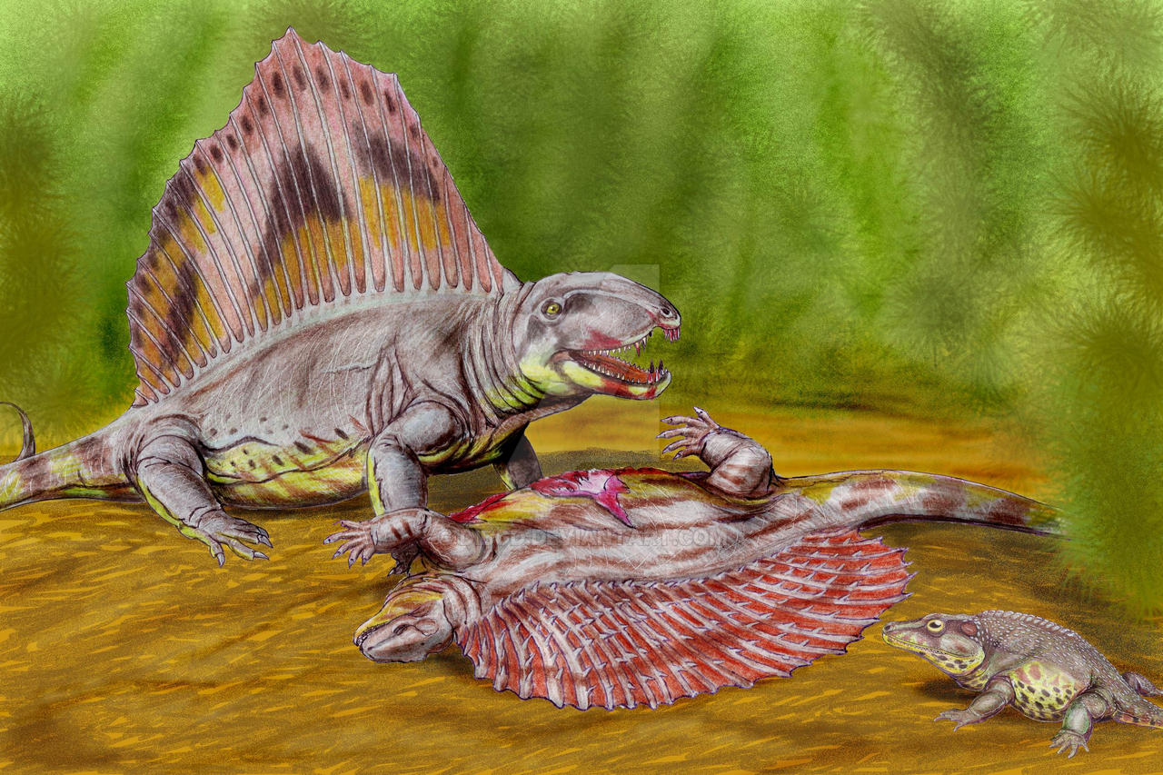 Permian Insecrs Early Permian scene by DiBgd on DeviantArt