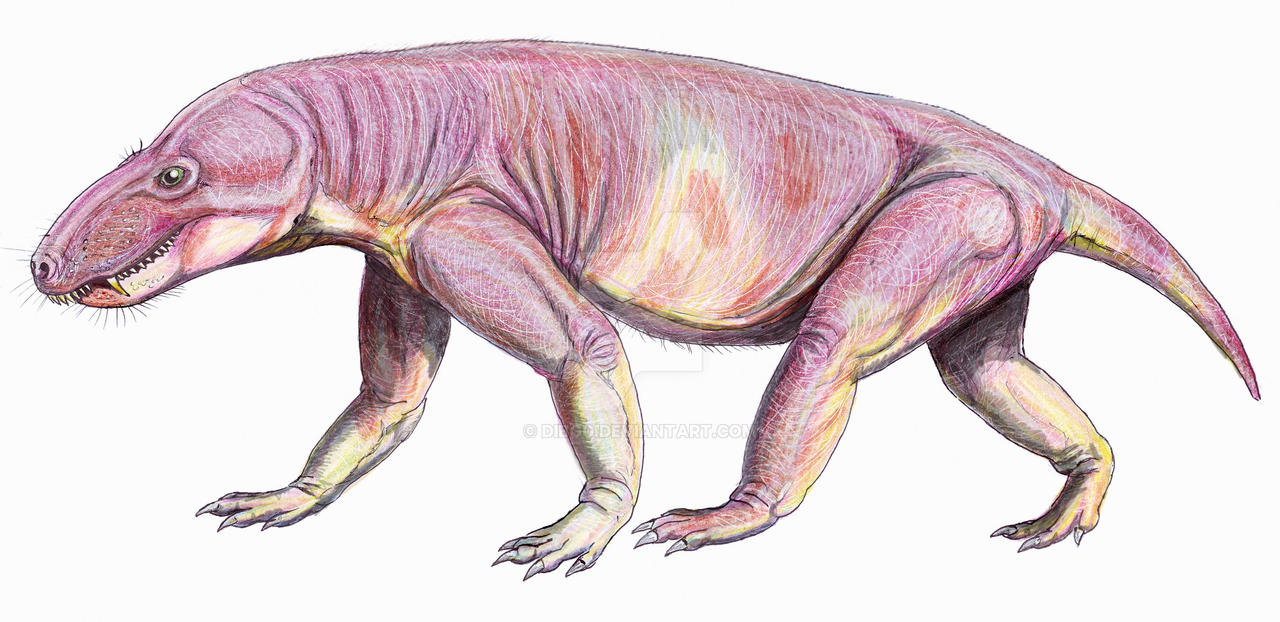 Glanosuchus