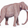 Mammuthus jeffersoni