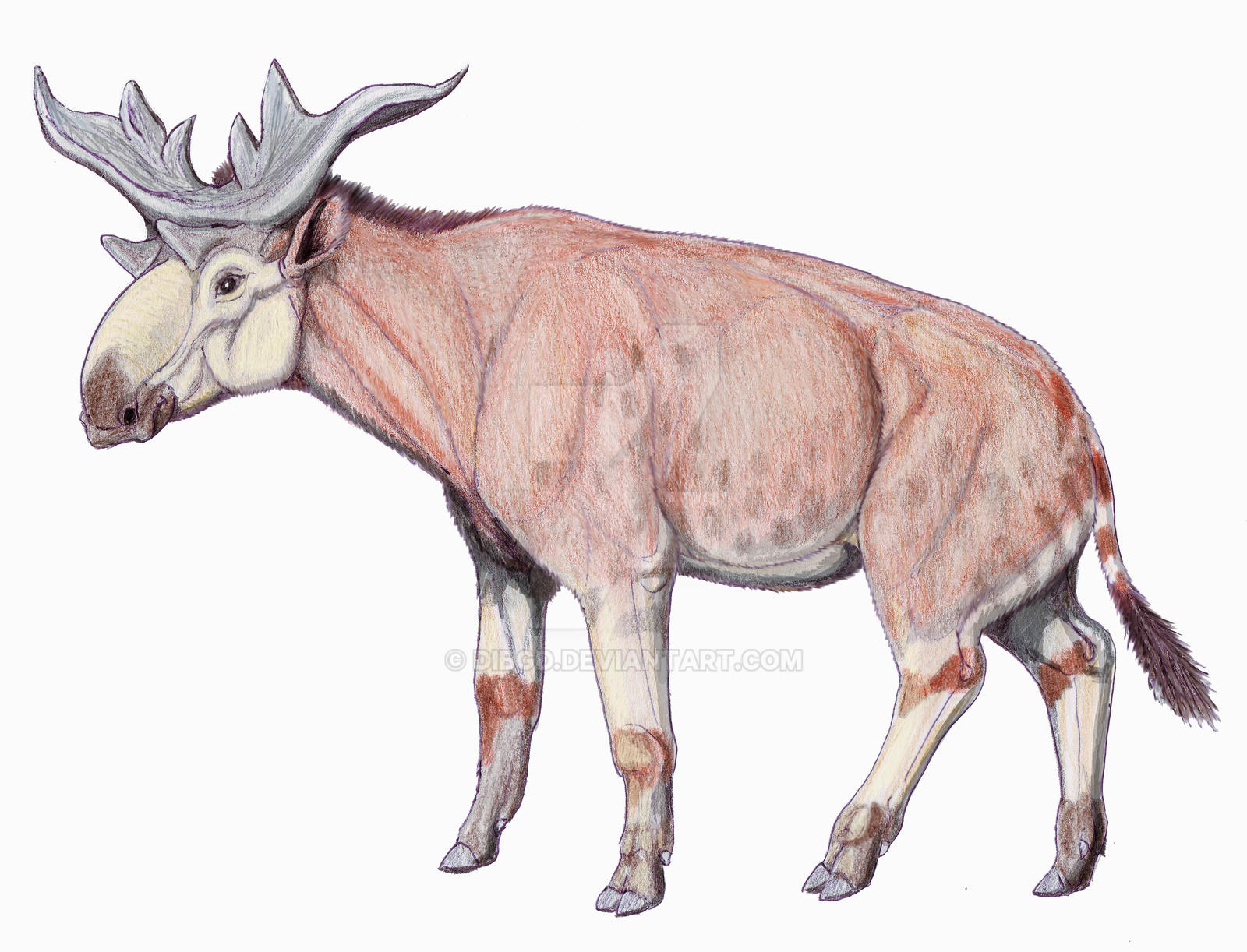 Sivatherium Giganteum By DiBgd On DeviantArt sivatherium-giganteum-by-dibgd-on-deviantart